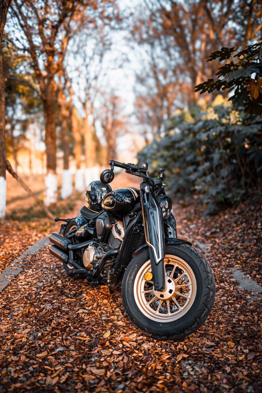 Benda Napoleon 500 Bobber, Phân Phối Chính Hãng, Giá Rẻ Tại Quảng Trị