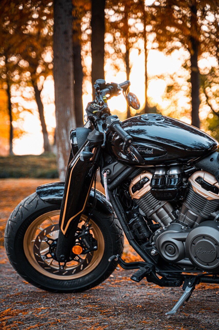 Benda Napoleon 500 Bobber, Phân Phối Chính Hãng, Giá Rẻ Tại Quảng Trị