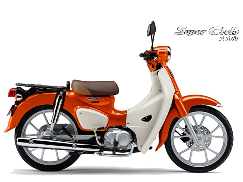 Honda Super Cub 110 ABS, Made In Japan, NK Chính Hãng, Hiếm tại Quảng Trị