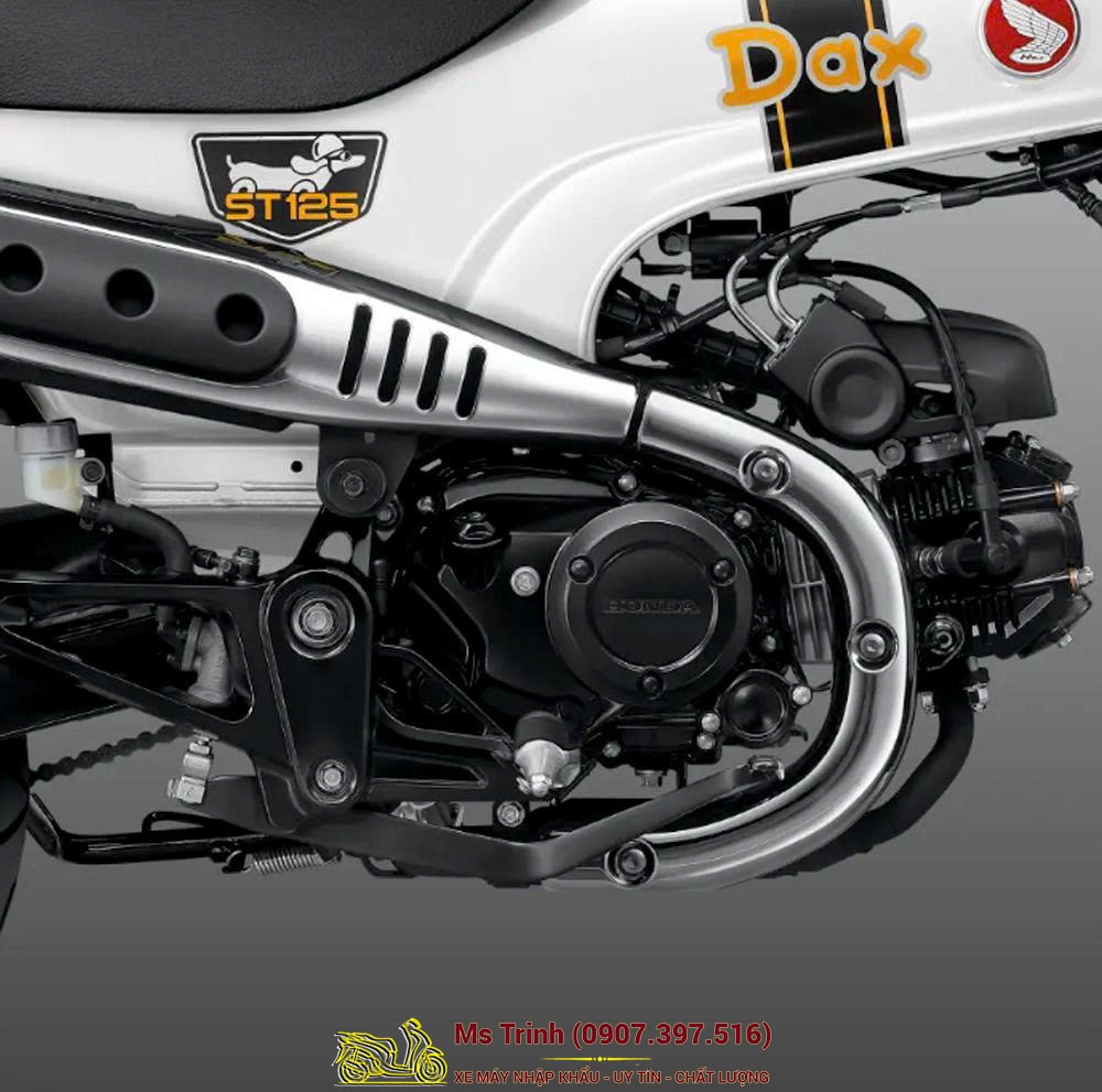 Honda Dax ST125 2026 tại Quảng Trị - Minibike huyền thoại khung T-Bone đầy cá tính