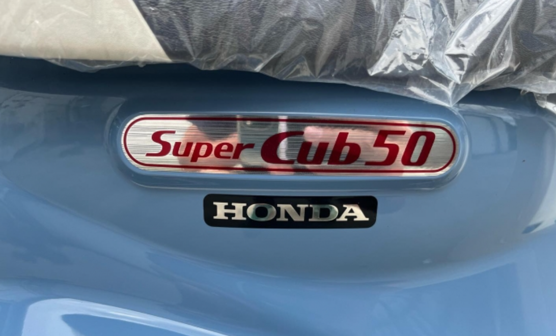 cub2.png